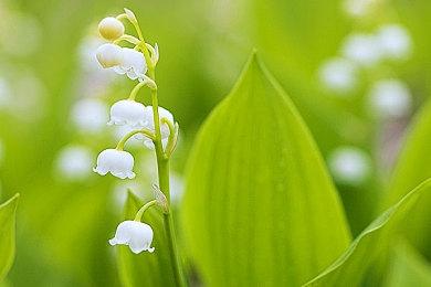 Steam Deck下个月正式开始在澳大利亚开卖